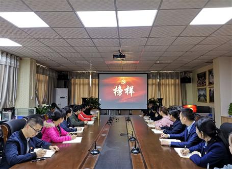 向榜樣看齊，做合格黨員