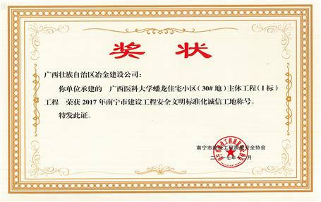 南寧分公司四個項目獲表彰！