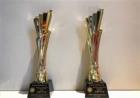 喜訊！公司捧回兩座國(guó)家級(jí)BIM技術(shù)應(yīng)用獎(jiǎng)杯