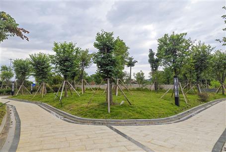 【提升“三力” 爭(zhēng)創(chuàng)佳績(jī)】三門江森林公園停車庫(kù)項(xiàng)目通過(guò)竣工驗(yàn)收