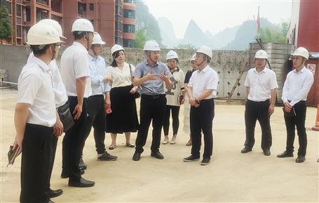 覃振華到河池片區(qū)調(diào)研并與項目業(yè)主舉行工作會談